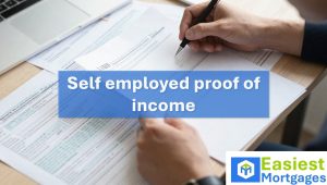 Self employed proof of income